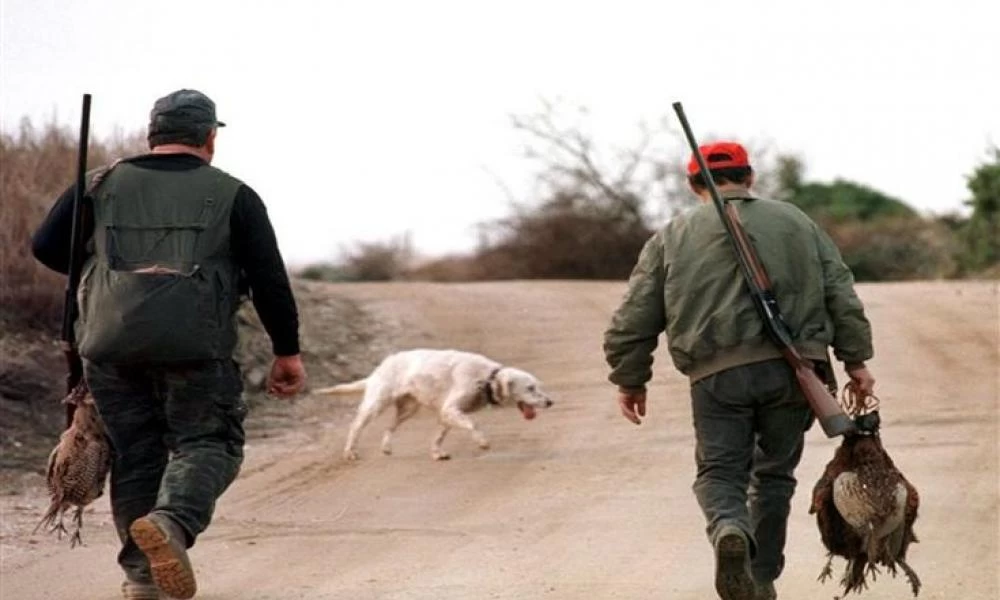 Ευρυτανία: Εξωστρακίστηκε σφαίρα και πέτυχε τον αδερφό του
